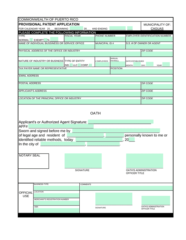 Commonwealth Of Puerto Rico Provisional Patent Application screenshot