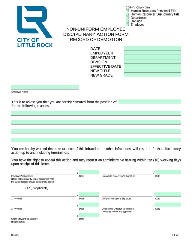 NON UNIFORM EMPLOYEE DISCIPLINARY ACTION FORM screenshot