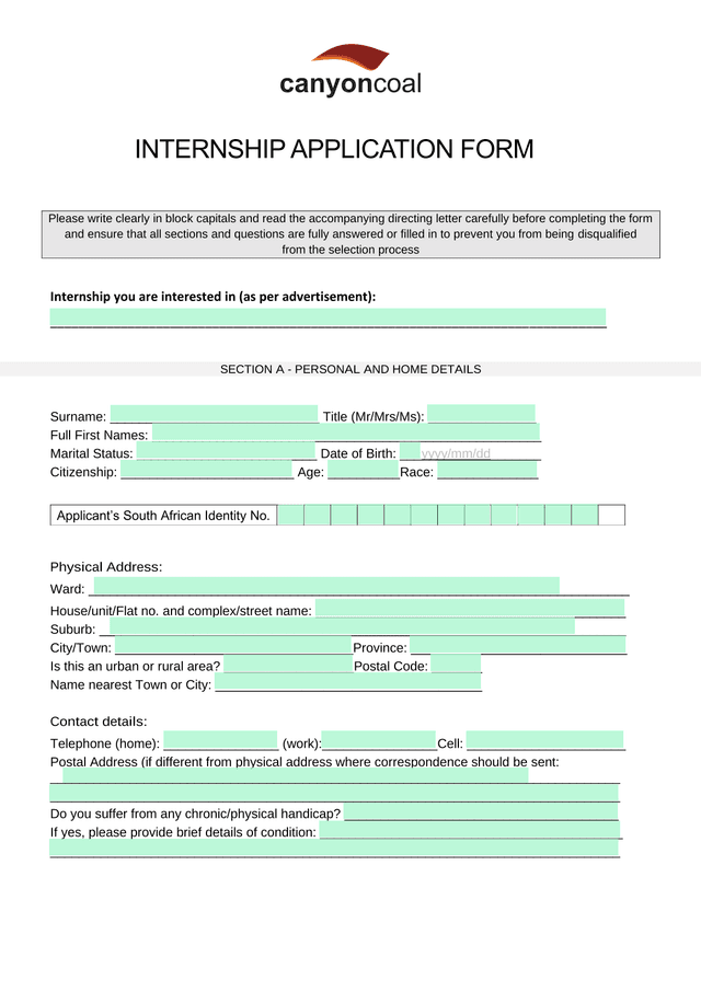 Internship Application Form screenshot