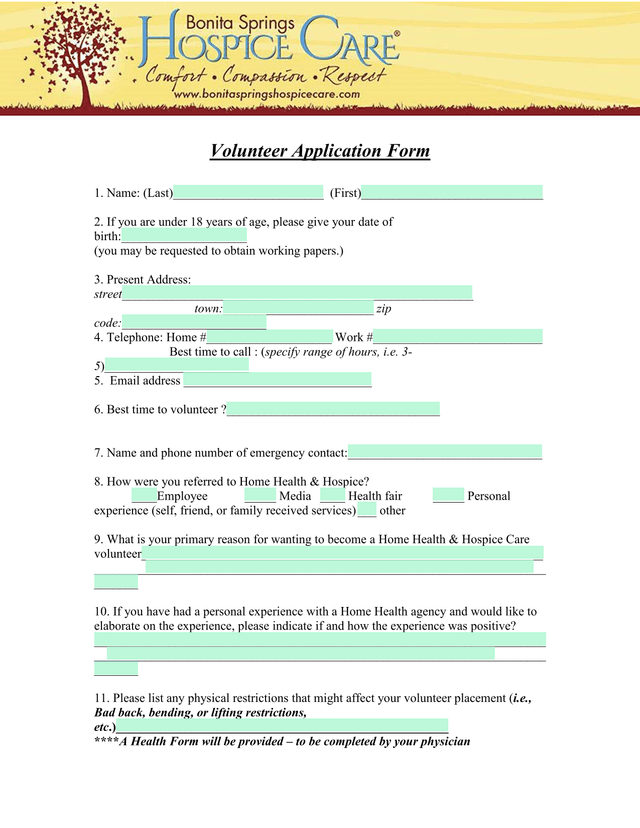 Volunteer Application Form screenshot