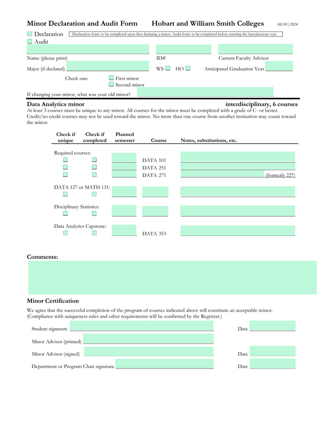 Minor Declaration And Audit Form screenshot