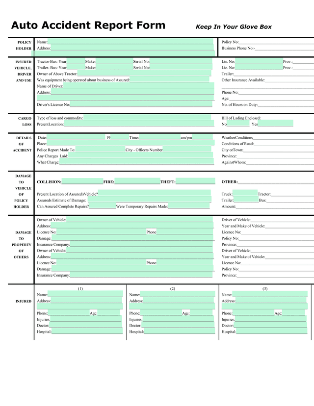 Auto Accident Report Form screenshot