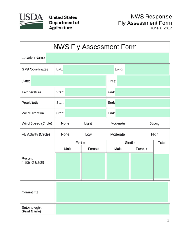 NWS Fly Assessment Form screenshot