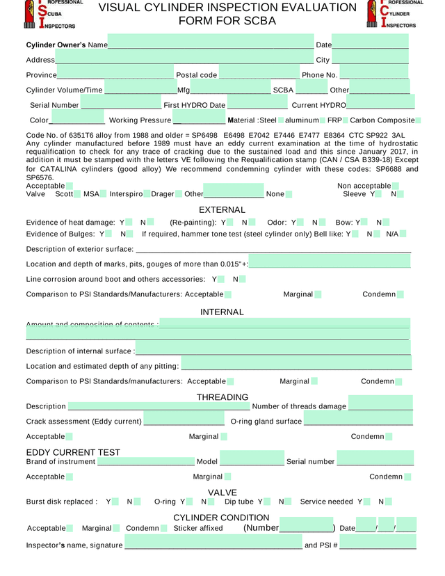 Cylinder Inspection Form screenshot