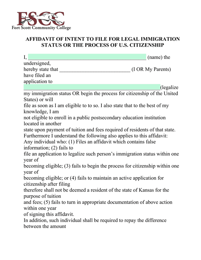 AFFIDAVIT OF INTENT TO FILE FOR LEGAL IMMIGRATION STATUS OR THE PROCESS OF U.S. CITIZENSHIP screenshot