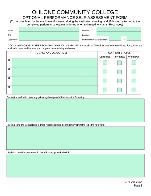 OPTIONAL PERFORMANCE SELF ASSESSMENT FORM screenshot