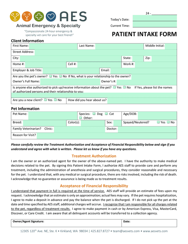 PATIENT INTAKE FORM screenshot