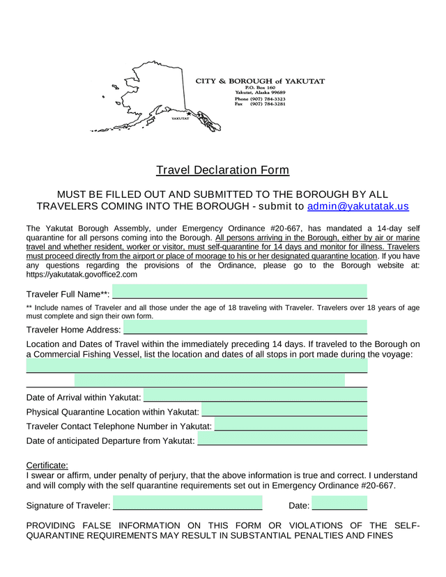 Travel Declaration Form screenshot
