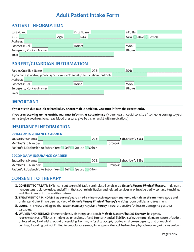 Adult Patient Intake Form screenshot