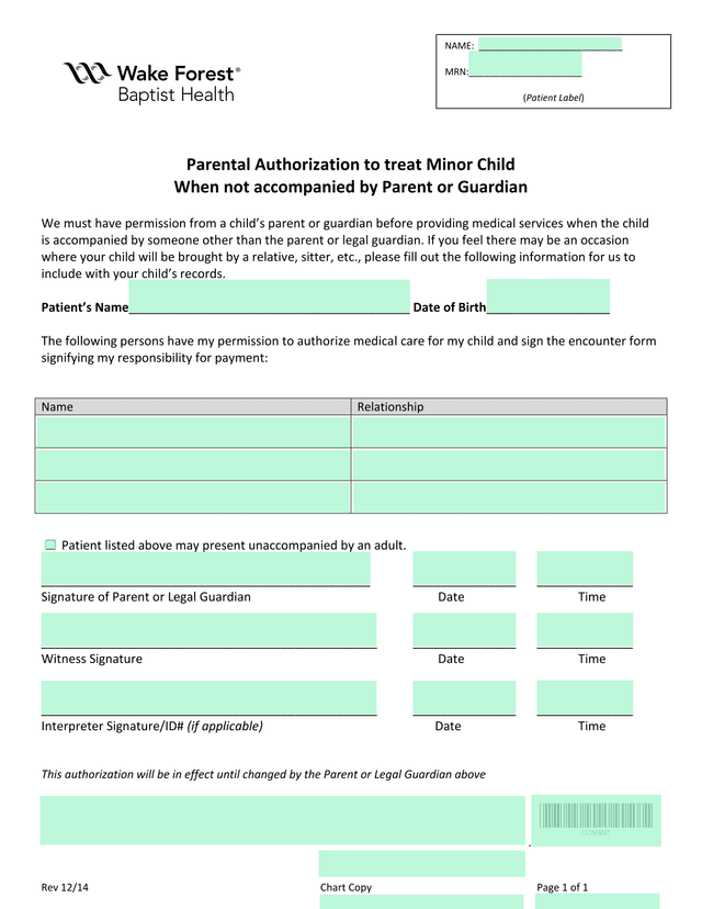 Parental Authorization To Treat Minor Child When Not Accompanied By Parent Or Guardian screenshot