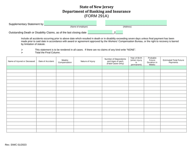 Supplementary Statement By Employer screenshot