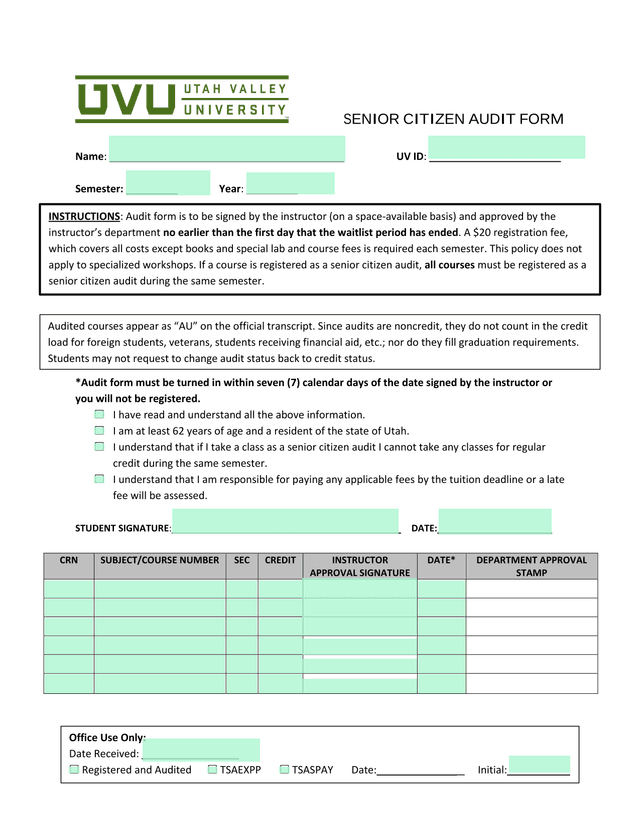Senior Citizen Audit Form screenshot